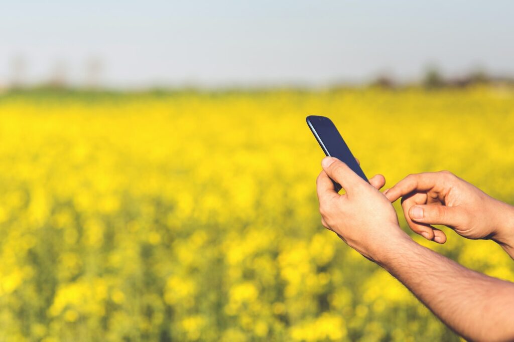 Inovação no agronegócio em 2023: transformação digital