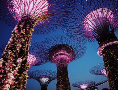 4 motivos para sua empresa se inspirar nos projetos de inovação em Singapura 